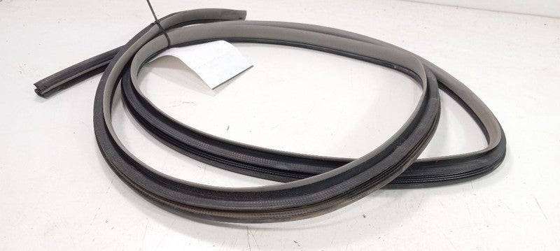 Toyota Camry On Body Door Jamb Seal Rear Left Back 2007 2008 2009 OEM