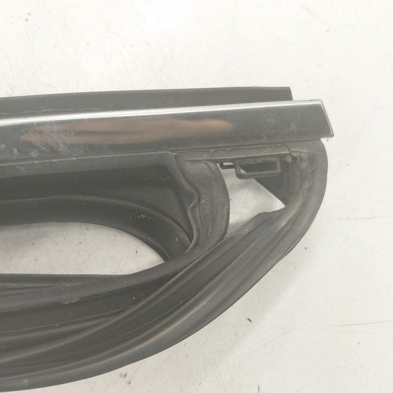 Hyundai Santa Fe Door Glass Window Seal Rubber Left Driver Rear Back  