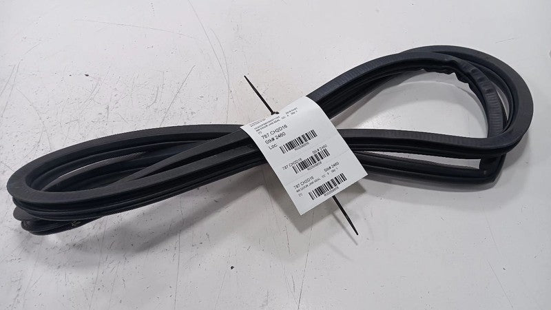 Dodge Dart On Body Door Jamb Seal Rear Right Passenger Back  2013 2014 2015 2016