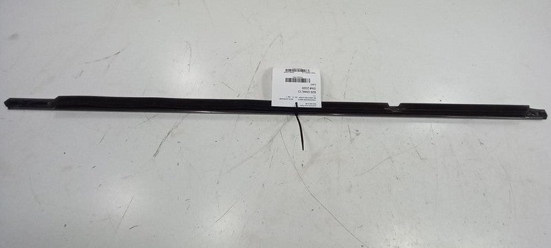 Buick LaCrosse Door Glass Window Weather Strip Trim Rear Right Passeng