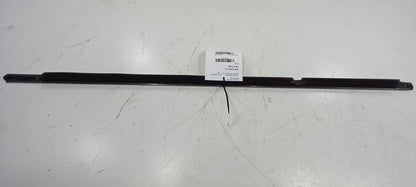 Buick LaCrosse Door Glass Window Weather Strip Trim Rear Right Passeng