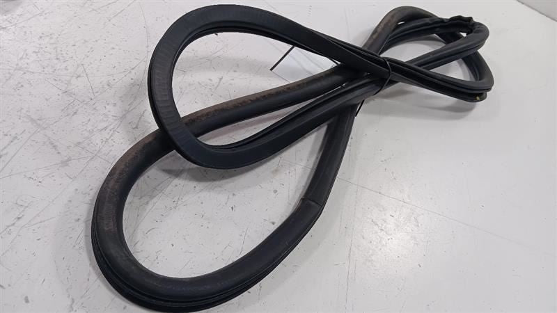 Dodge Dart On Body Door Jamb Seal Rear Left Back  2013 2014 2015 2016