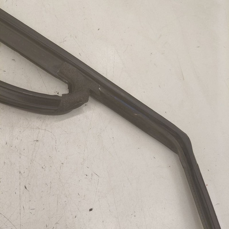 Ford Edge Door Glass Window Seal Rubber Left Driver Front  2018 2017 2