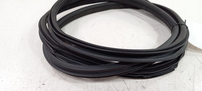 Infiniti Q50 On Body Door Jamb Seal Rear Left Back 2014 2015 2016