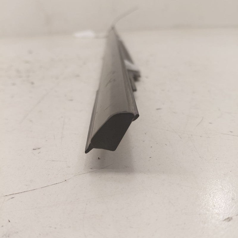 Ford Edge Door Glass Window Weather Strip Trim Rear Left Driver Back  
