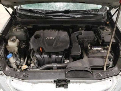 Hyundai Sonata Left Rear Interior Window Weather Strip 2011 2012 2013 