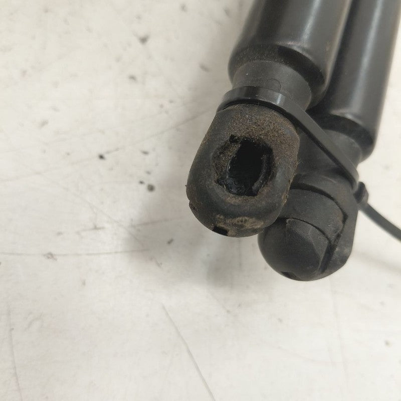 Nissan Murano Hatchback Hatch Back Trunk Lid Shock Strut Support  2020