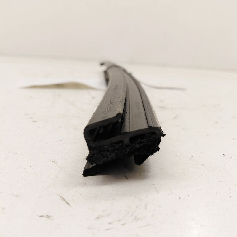 Buick Encore GX Left Rear Weather Strip Interior  2020 2021 2022 2023