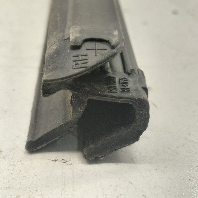 Chevy Volt Right Rear Weather Strip Interior  2019 2018 2017 2016