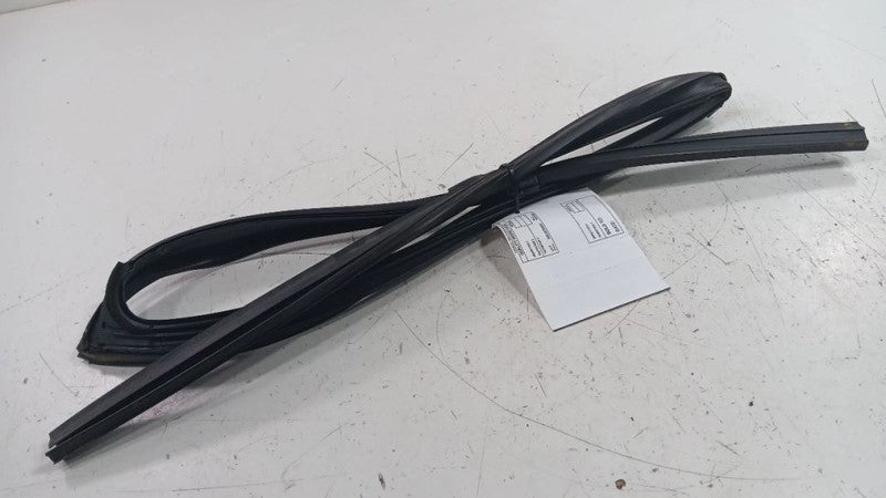 Lexus LS460 Door Glass Window Seal Rubber Left Rear Back  2007 2008 20