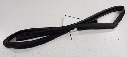 Dodge Journey Door Glass Window Seal Rubber Left Driver Front 2016 201