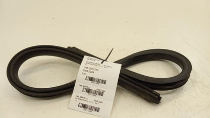 Chevy Impala Door Glass Window Seal Rubber Right Passenger Rear Back 2