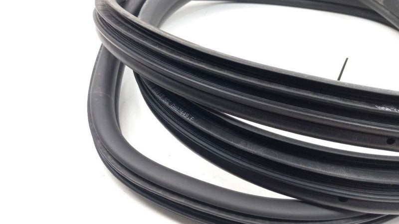 BMW 328I On Body Door Jamb Seal Rear Left Back 2009 2010 2011 2012 2013