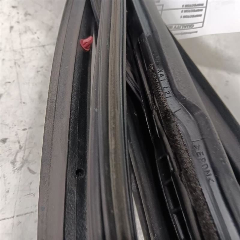 Nissan LEAF On Door Seal Rubber Left Driver Front  2013 2014 2015 2016 2017