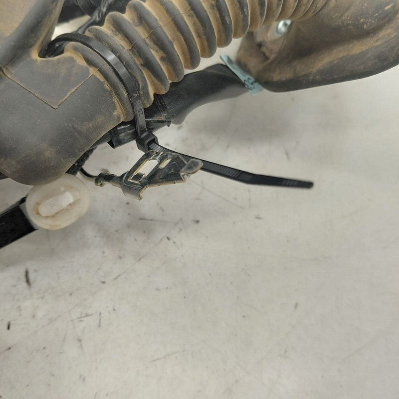 Lexus IS350 Door Harness Wire Wiring Right Passenger Front  2020 2019 