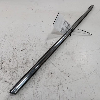 Nissan Maxima Door Glass Window Weather Strip Trim Rear Right Passenge