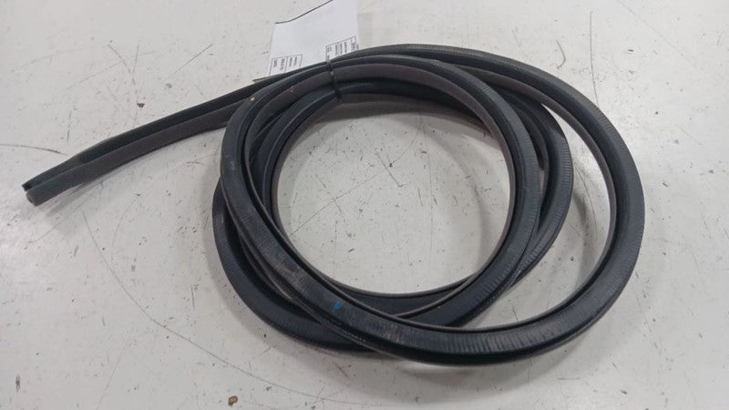 Lexus LS460 On Body Door Jamb Seal Gasket Front Left Driver  2007 2008