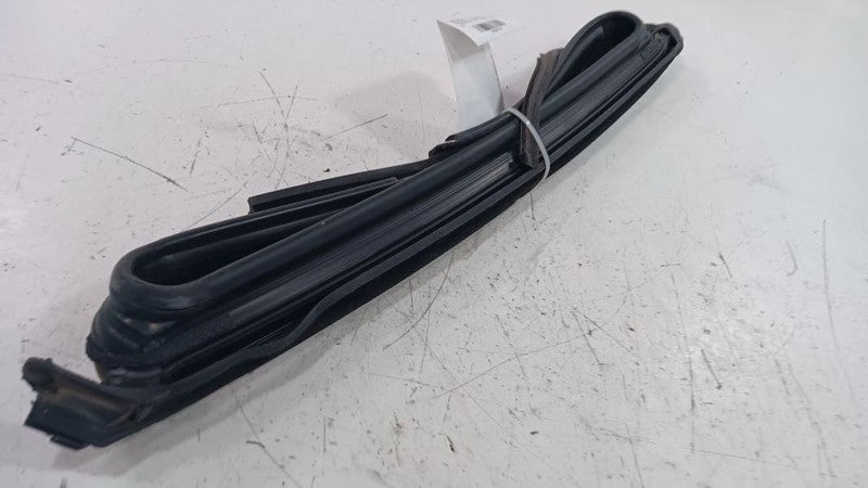 Dodge Dart Door Glass Window Seal Rubber Right Passenger Rear Back  20
