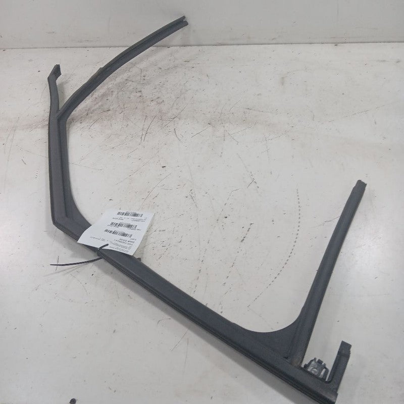 Chevy Trailblazer Door Glass Window Seal Rubber Right Passenger Front 