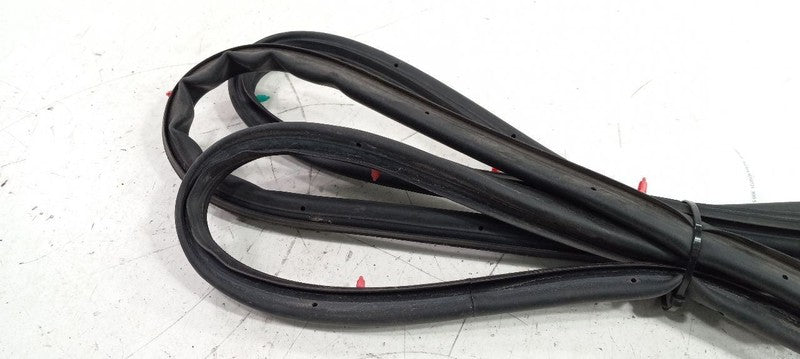 Kia Sorento On Door Seal Rubber Left Rear Back 2016 2017 2018 OEM