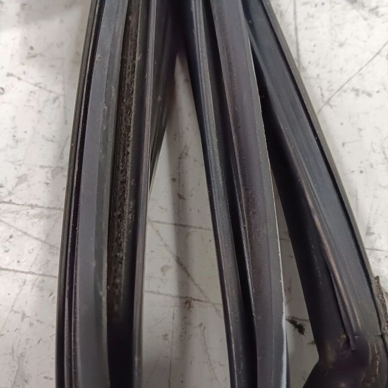 Ford Fiesta Door Glass Window Seal Rubber Right Passenger Front  2014 