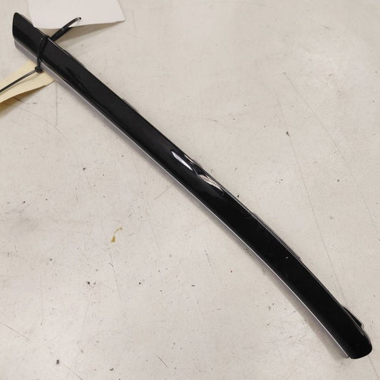 Chrysler 300 Passenger Right Front Door Trim Garnish {AI59307XST003} 2