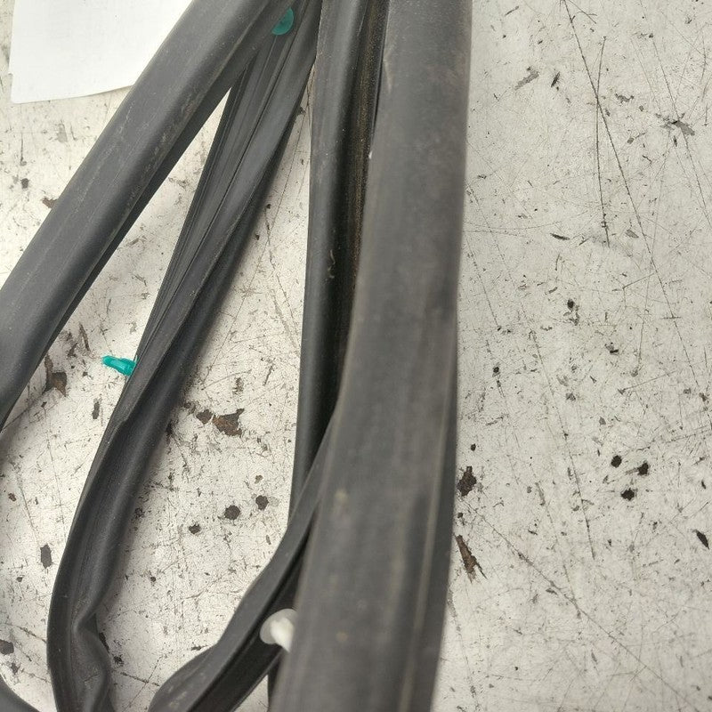 Hyundai Santa Fe On Door Seal Rubber Left Driver Front  2019 2020