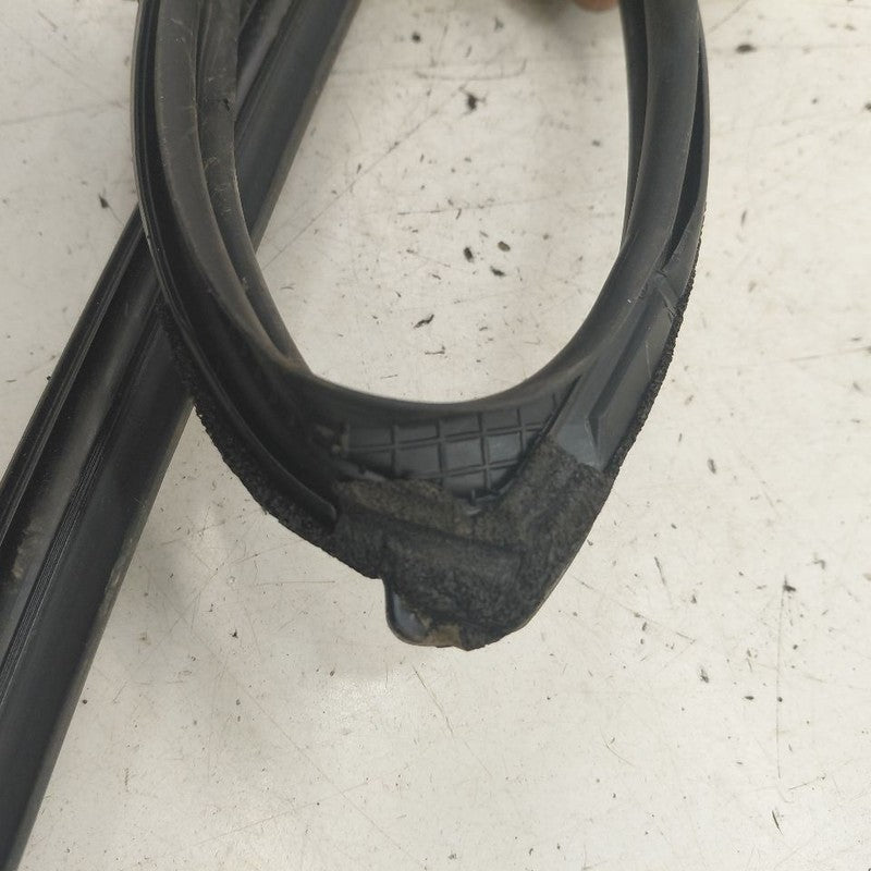 Honda CR-V Door Glass Window Seal Rubber Right Passenger Rear Back  20