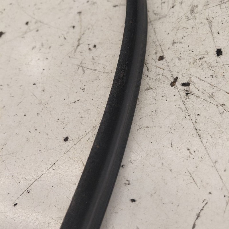 Ford Edge Door Glass Window Seal Rubber Left Driver Rear Back  2019 20