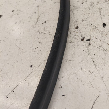 Ford Edge Door Glass Window Seal Rubber Left Driver Rear Back  2019 20