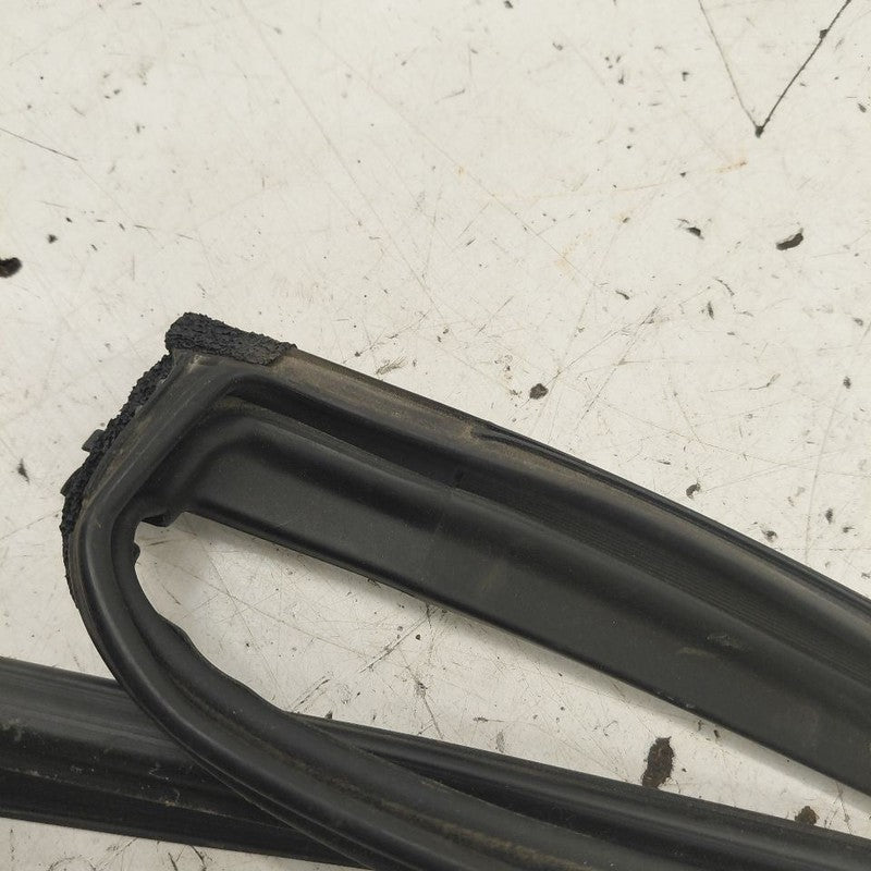 Mazda 6 Door Glass Window Seal Rubber Right Passenger Rear Back  2017 