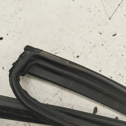 Mazda 6 Door Glass Window Seal Rubber Right Passenger Rear Back  2017 