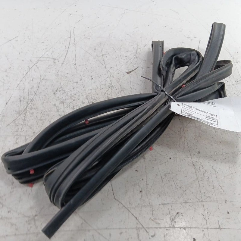 Nissan Kicks On Door Seal Rubber Left Rear Back  2021 2022 2023 2024