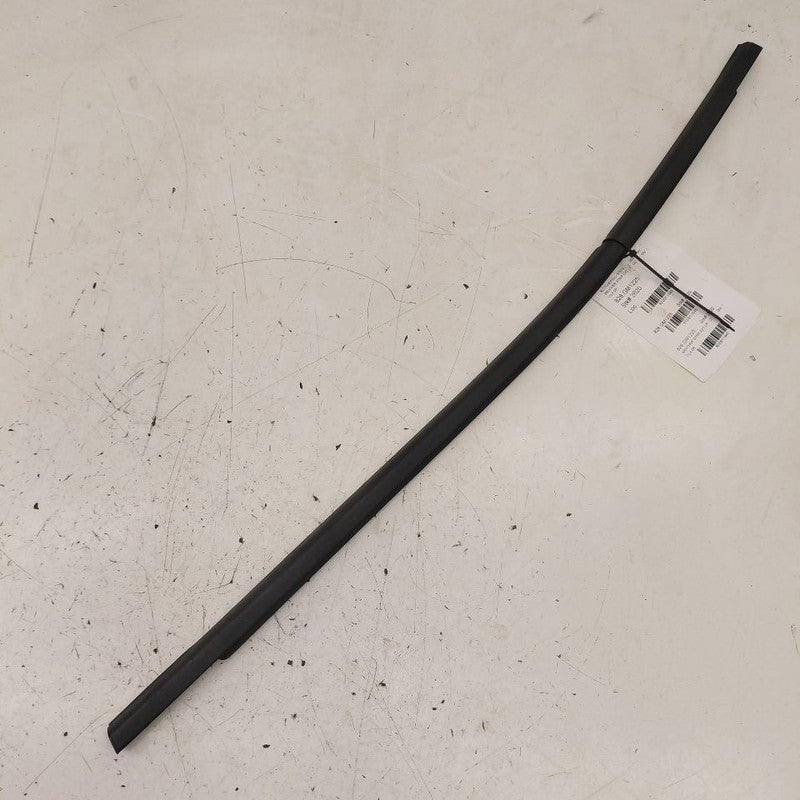 Chevy Trax Door Glass Window Weather Strip Trim Rear Left Driver Back 