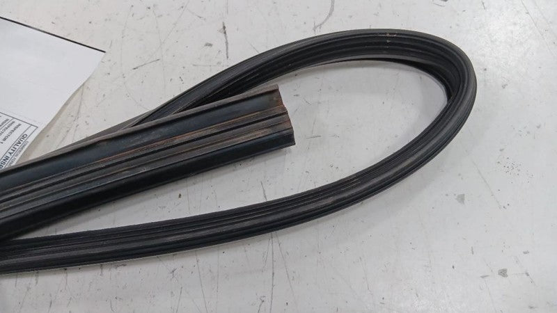Hyundai Elantra Door Glass Window Seal Rubber Left Driver Front  2011 