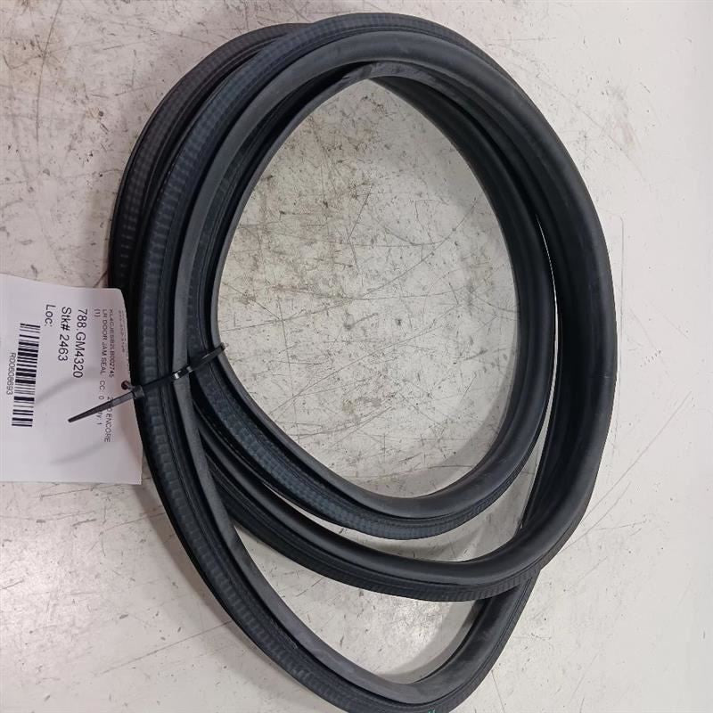 Buick Encore On Body Door Jamb Seal Rear Left Back  2017 2018 2019 2020