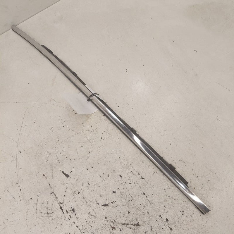Hyundai Santa Fe Door Glass Window Weather Strip Trim Rear Left Driver