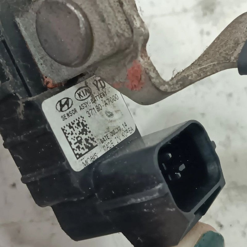 Kia Forte Negative Battery Cable  2014 2015 2016 OEM