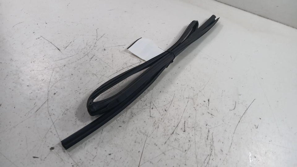 Toyota Rav 4 Door Glass Window Seal Rubber Left Rear Back  2019 2020 2021