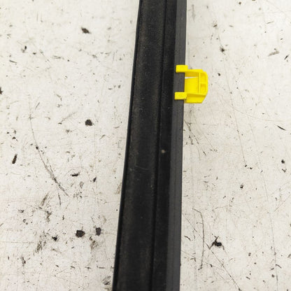 Honda CR-V Door Glass Window Weather Strip Trim Rear Right Passenger S